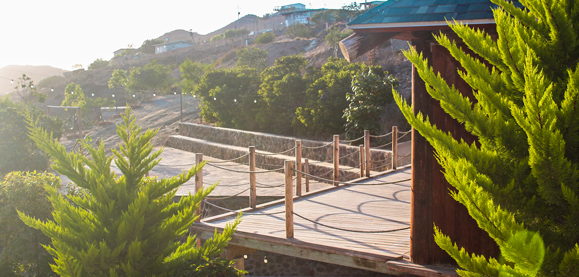 lorem ipsum dolor sit