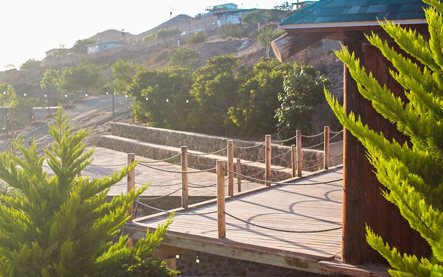 Andador de madera entre plantas en Raíz Resort con vista a la ladera